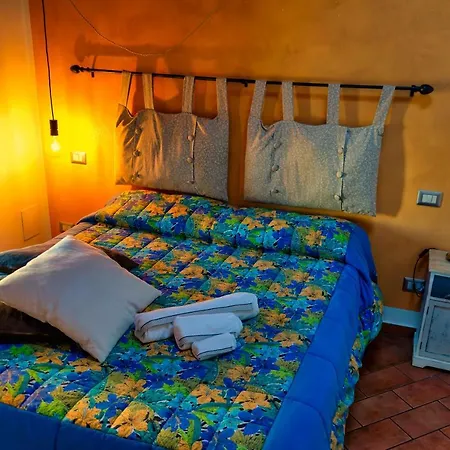 Casa Indipendente 콜레키오